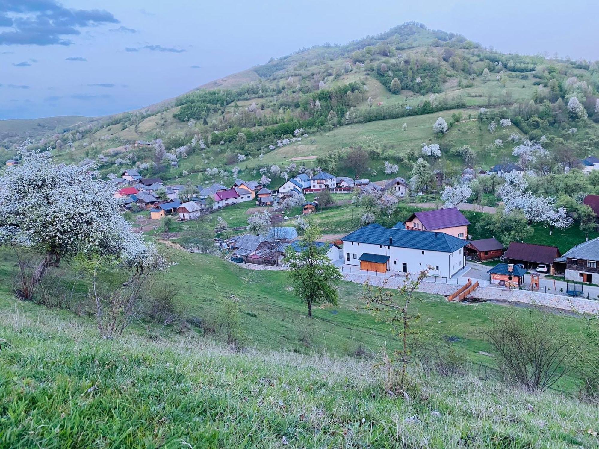Pensiunea Suci Batiza Kültér fotó